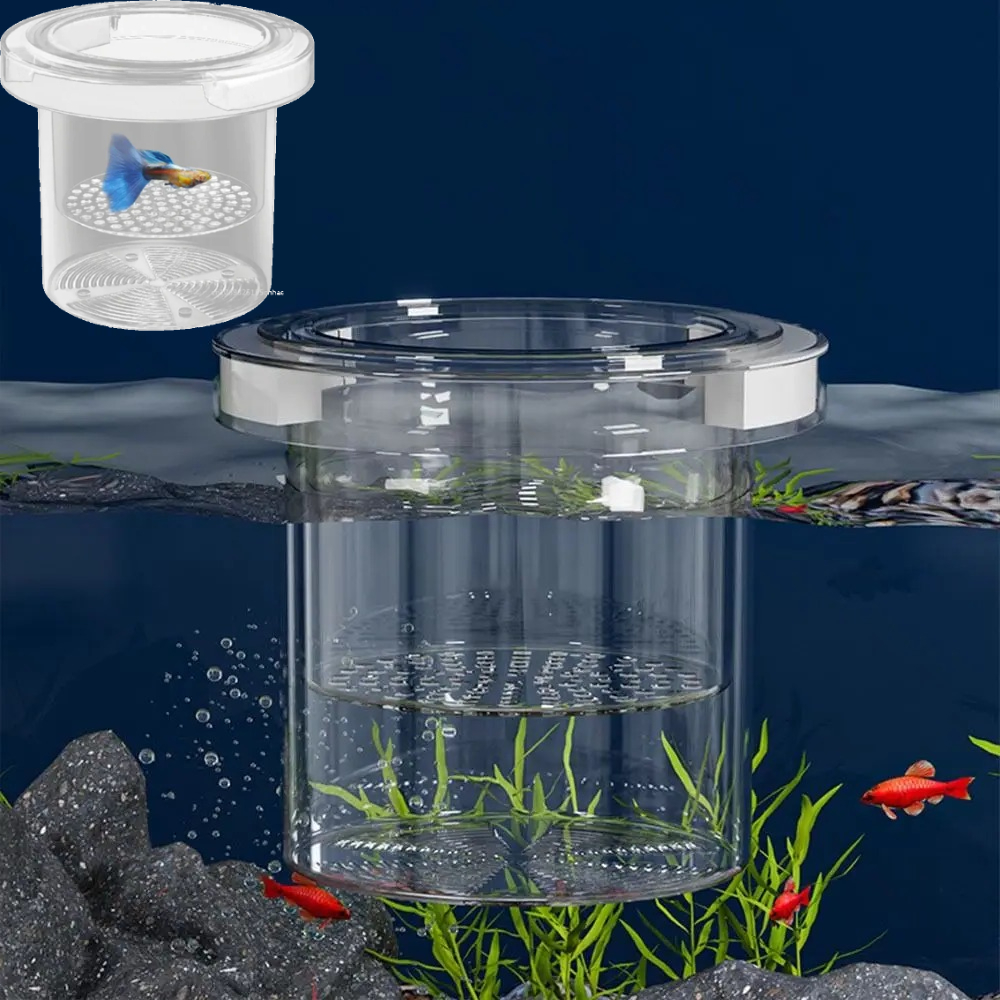 Aquarium Fish In Bowl - Acrylic Aquarium Isolation Box Transparent Shrimp