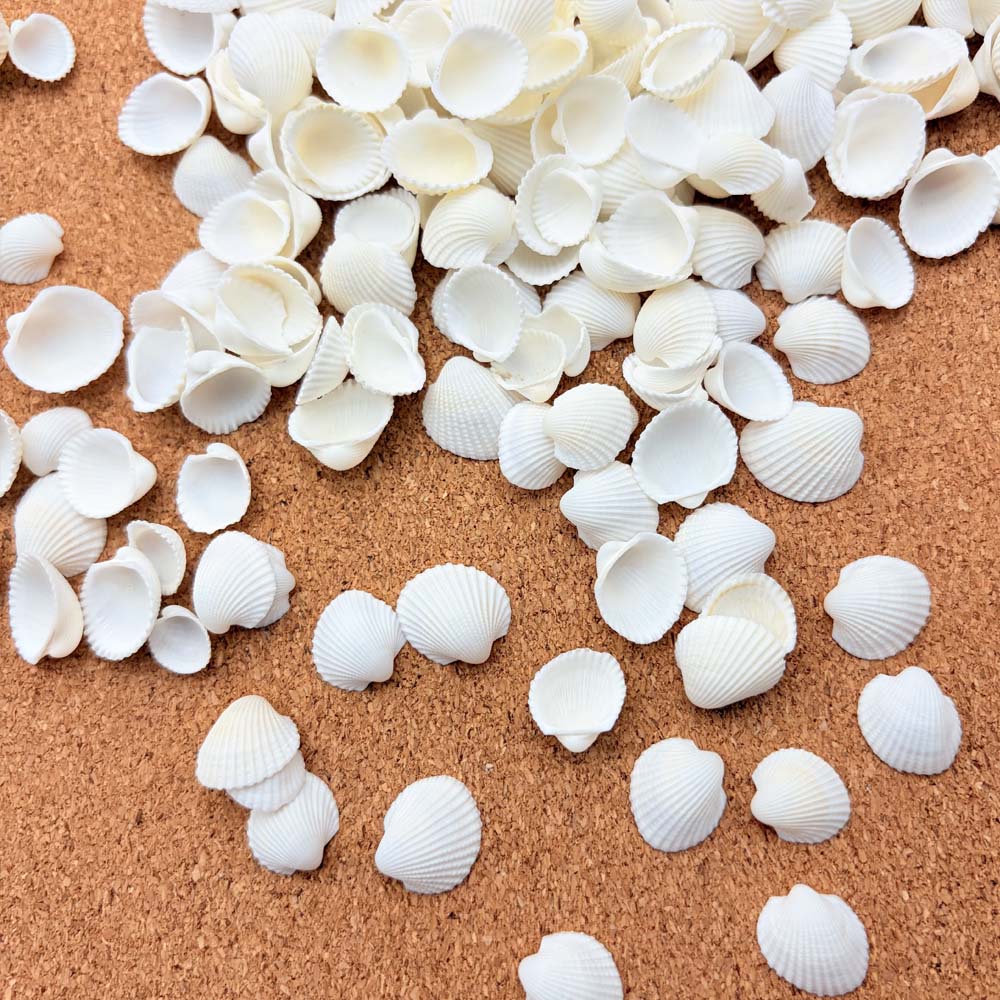 Aquarium Fish Gallery - 200pcs about 60g Tiny Sea Shells