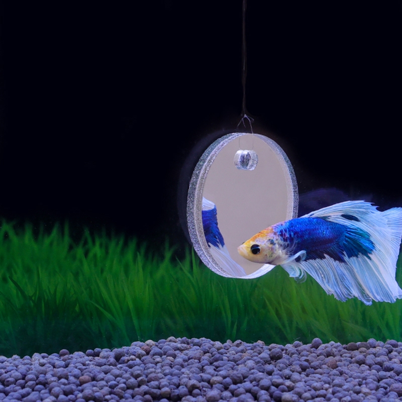 Fish Toys For Aquarium - Fish Exercise Mirror Promotes Natural Territorial
