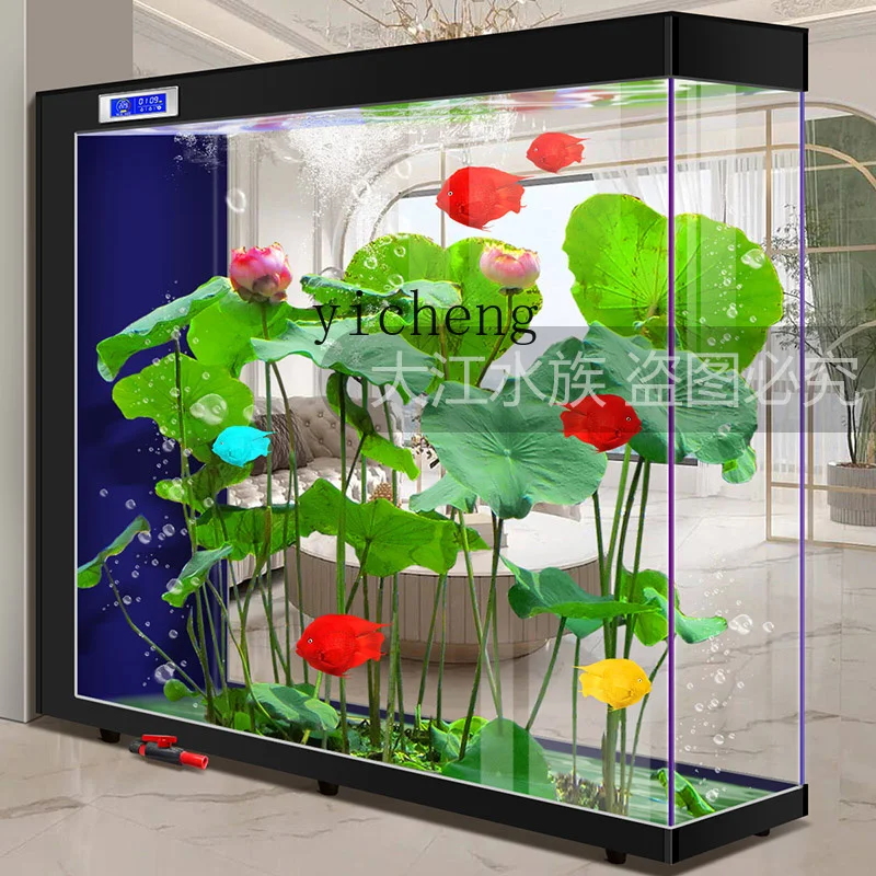 XL 2 lazy water-free living ro - Xl Aquarium Fish avaliação e preço