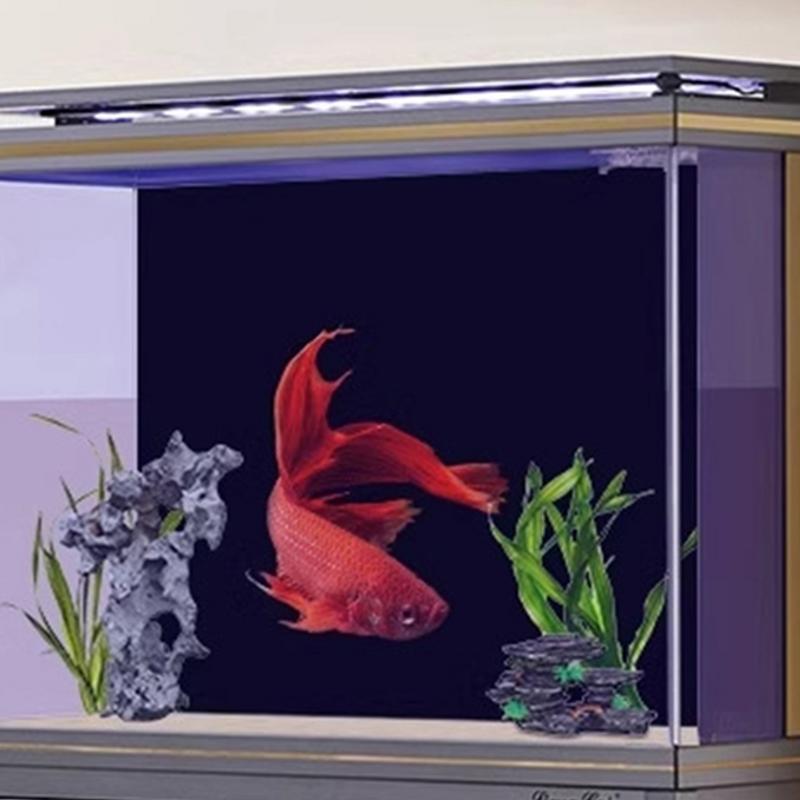 Black Aquarium Background Wall - Aquarium Fish Poster avaliação e preço