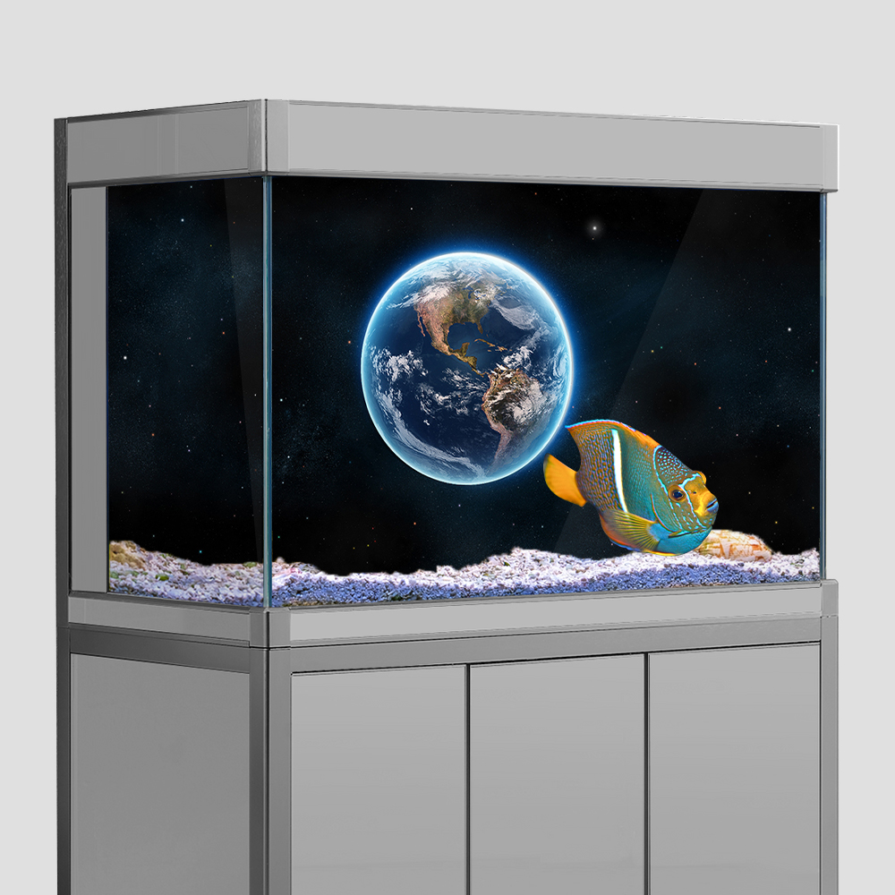 Aquarium Fish Tank  Background - Aquarium Fish Poster avaliação e preço
