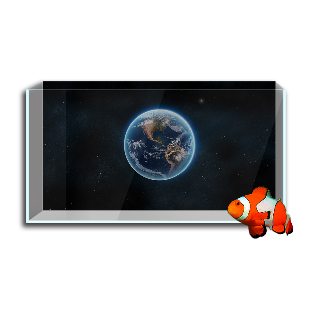 Aquarium Fish Tank  Background - Aquarium Fish Poster avaliação e preço