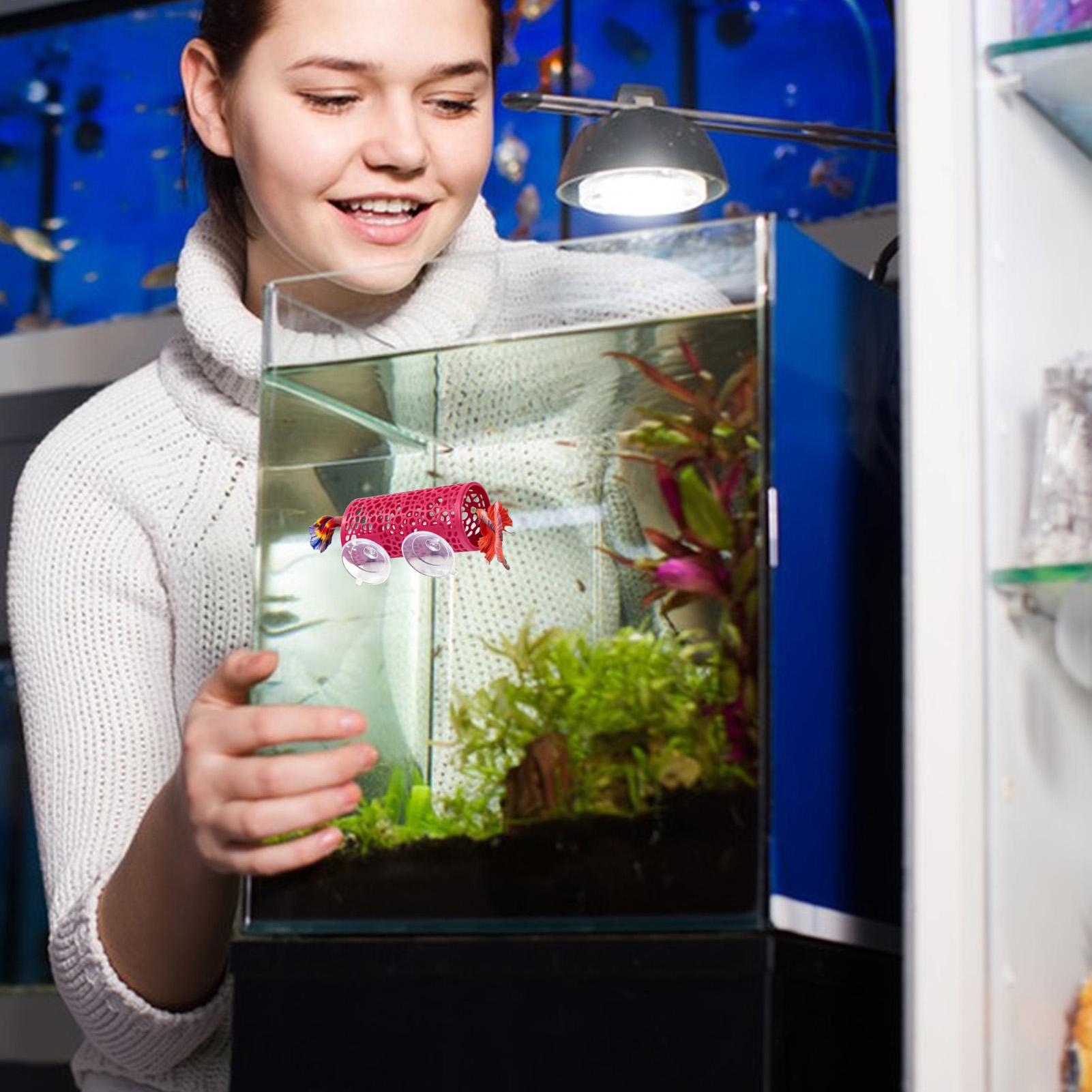 Betta Habitat Resting Shelter  - Fish Toys For Aquarium avaliação e preço