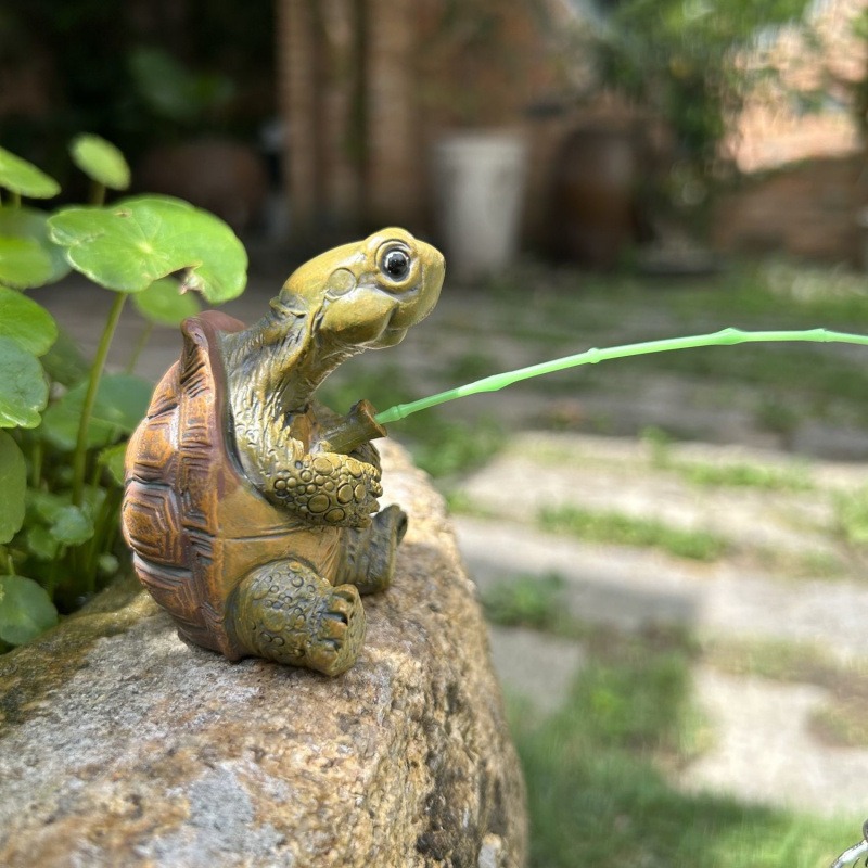 Turtle fishing fish tank aquar - Aquarium Fish Gallery avaliação e preço