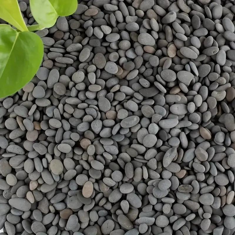20Pcs Natural River Rocks Smoo - Aquarium Fish Gallery avaliação e preço