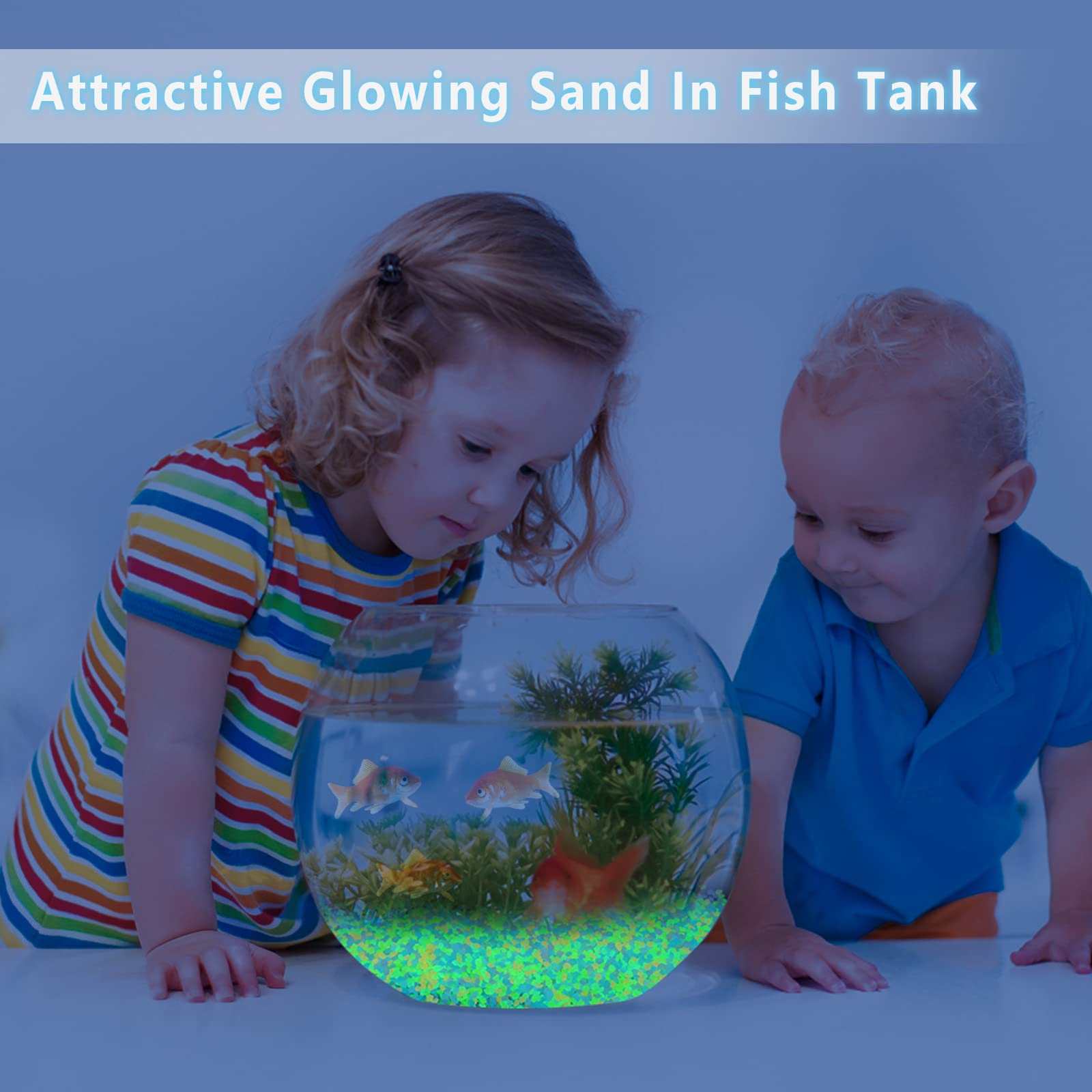 1000Pcs Luminous Sand Glow In  - Aquarium Fish Gallery avaliação e preço