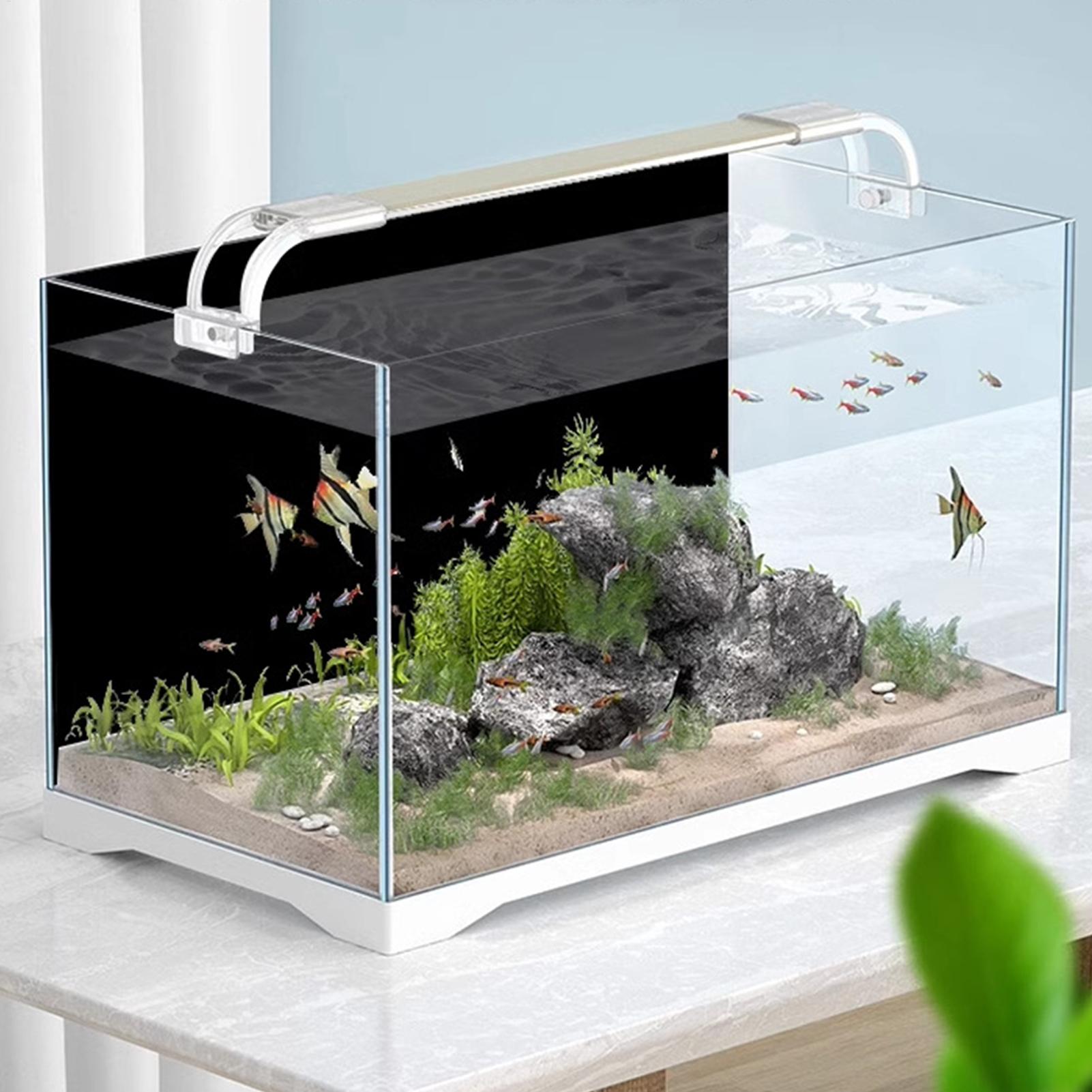 Fish Tank Background Static Cl - Aquarium Fish Poster avaliação e preço