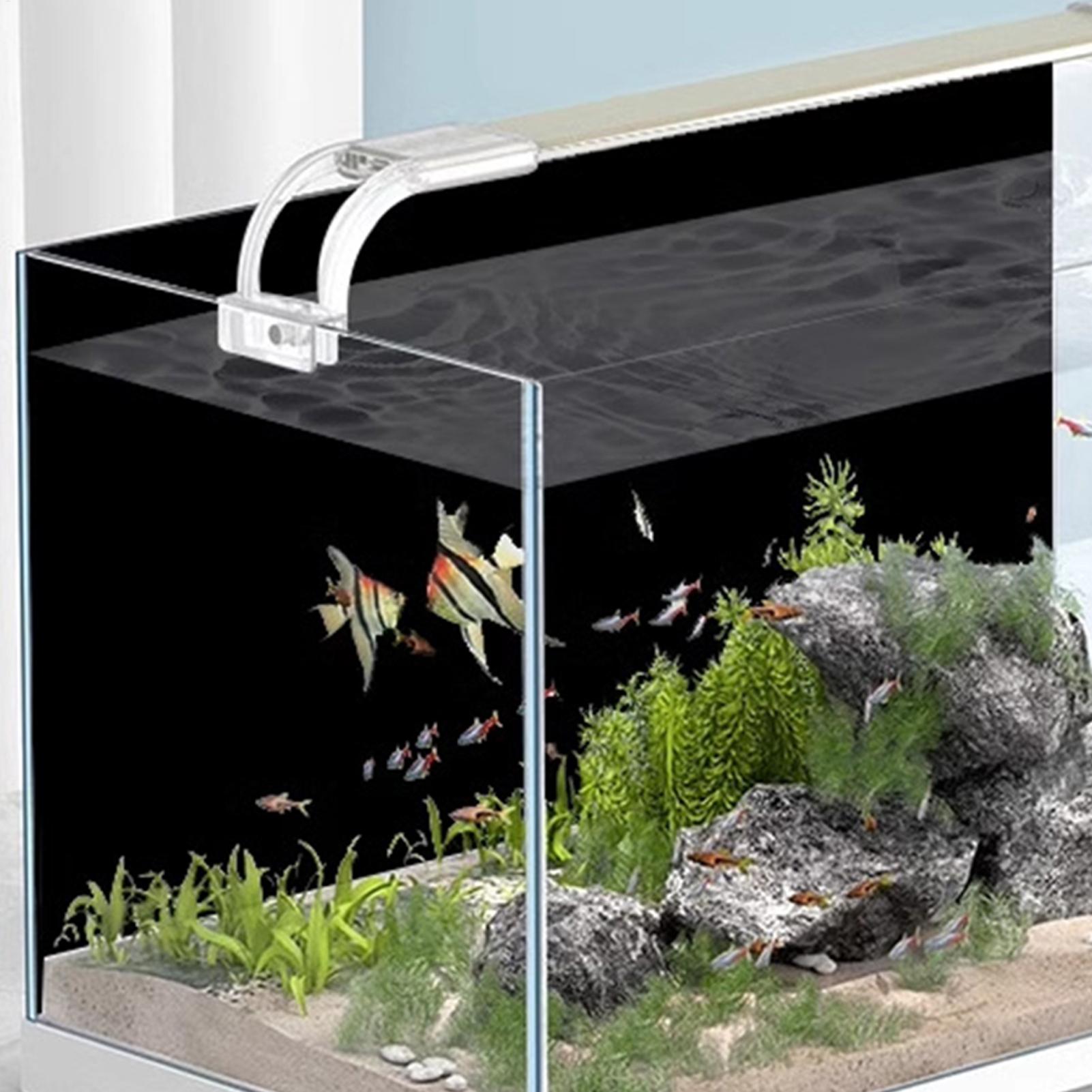 Fish Tank Background Static Cl - Aquarium Fish Poster avaliação e preço