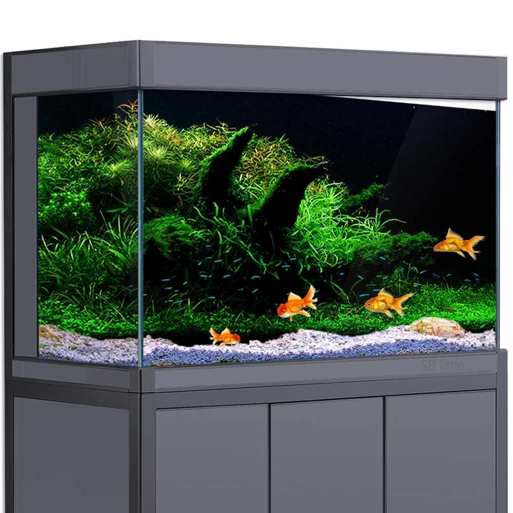Aquarium Background Fish Tank  - Aquarium Fish Poster avaliação e preço