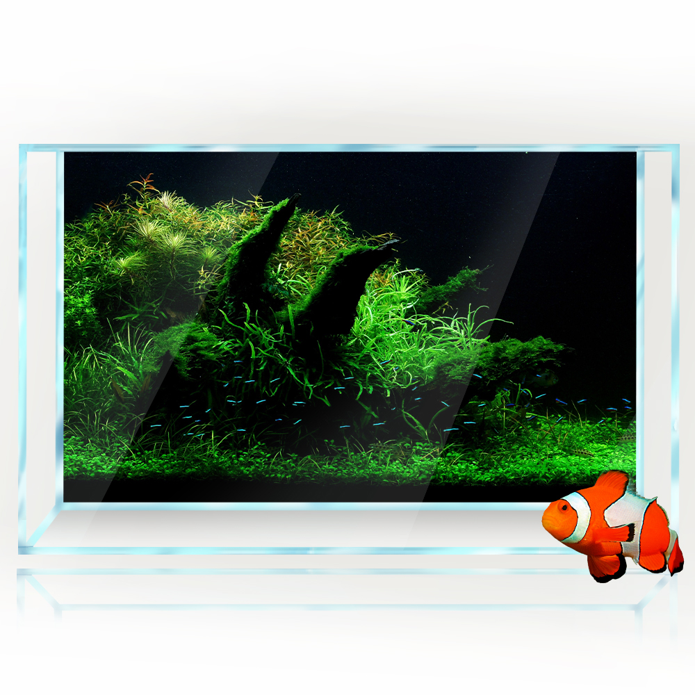 Aquarium Background Fish Tank  - Aquarium Fish Poster avaliação e preço