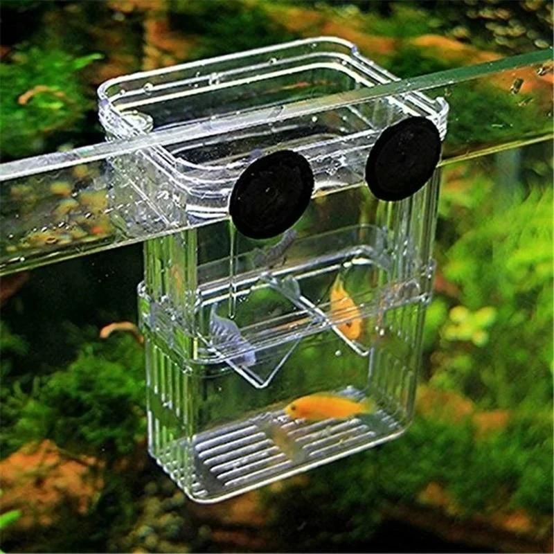 Transparent Fish Aquarium High - Aquarium Fish In Bowl avaliação e preço