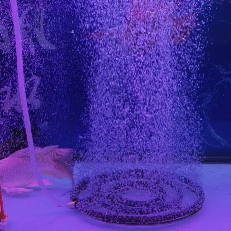 304 Stainless Steel Nano Oxyge - Aquarium Fish Koi avaliação e preço