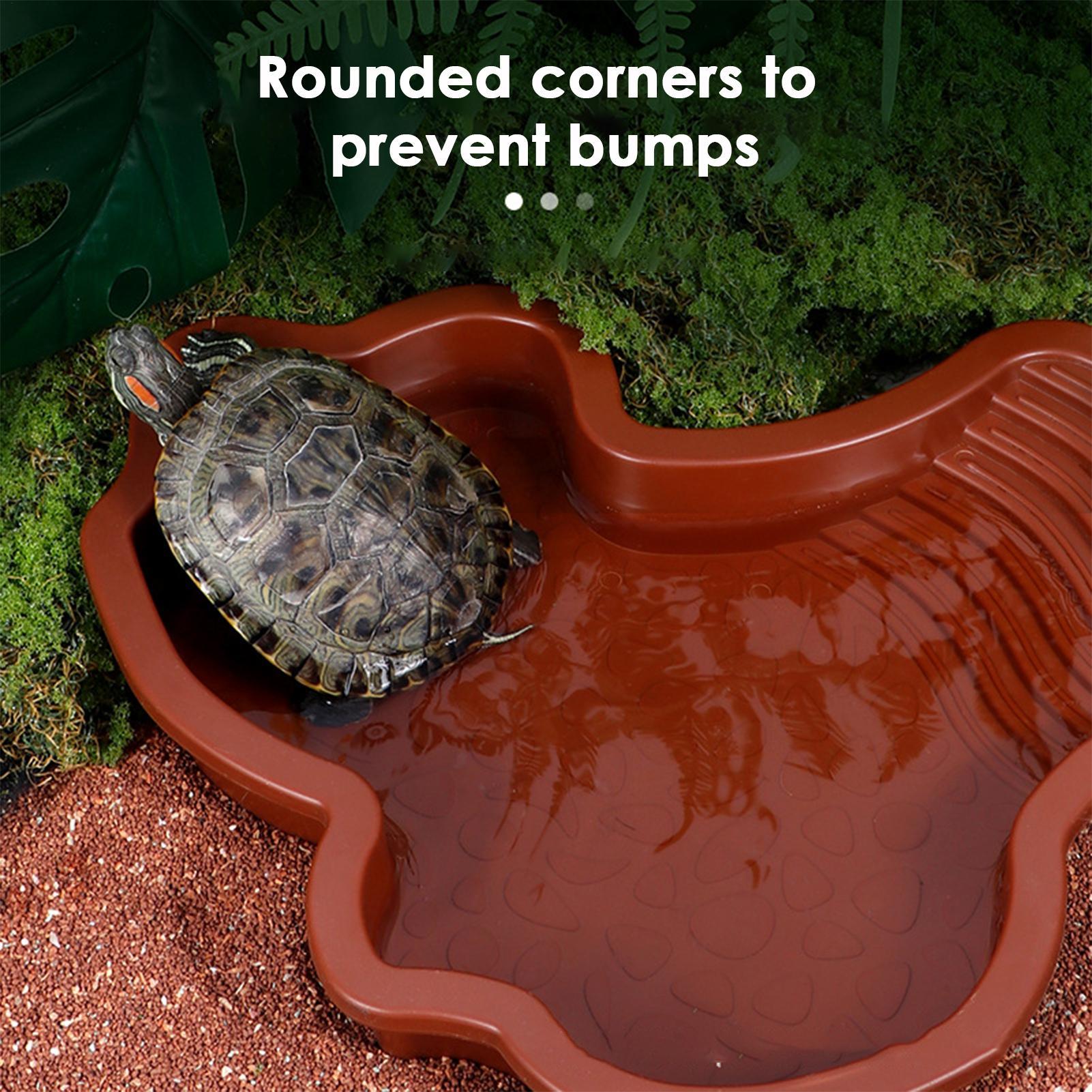 Reptile Bathing Pool Aquarium  - Aquarium Fish In Bowl avaliação e preço