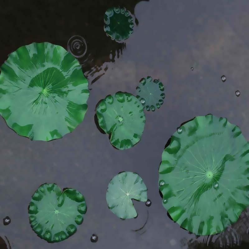 2026 Artificial Water Lily Lot - Aquarium Fish Gallery avaliação e preço