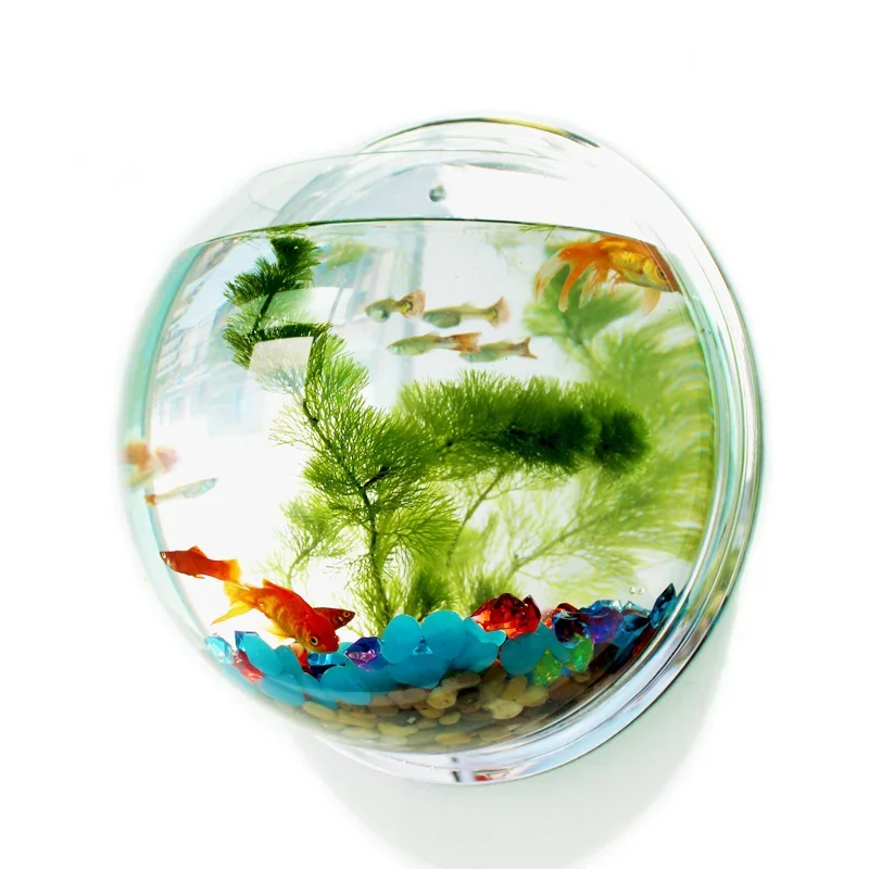 Pinsjar Acrylic Fish Bowl Wall - Aquarium Fish In Bowl avaliação e preço