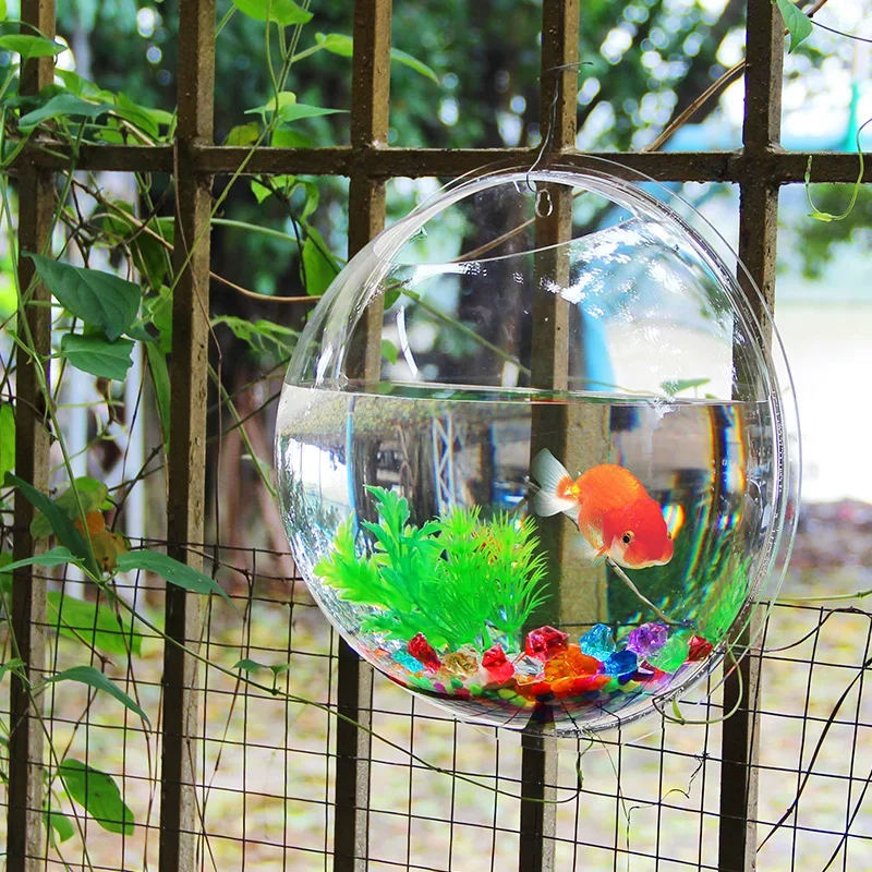 Pinsjar Acrylic Fish Bowl Wall - Aquarium Fish In Bowl avaliação e preço