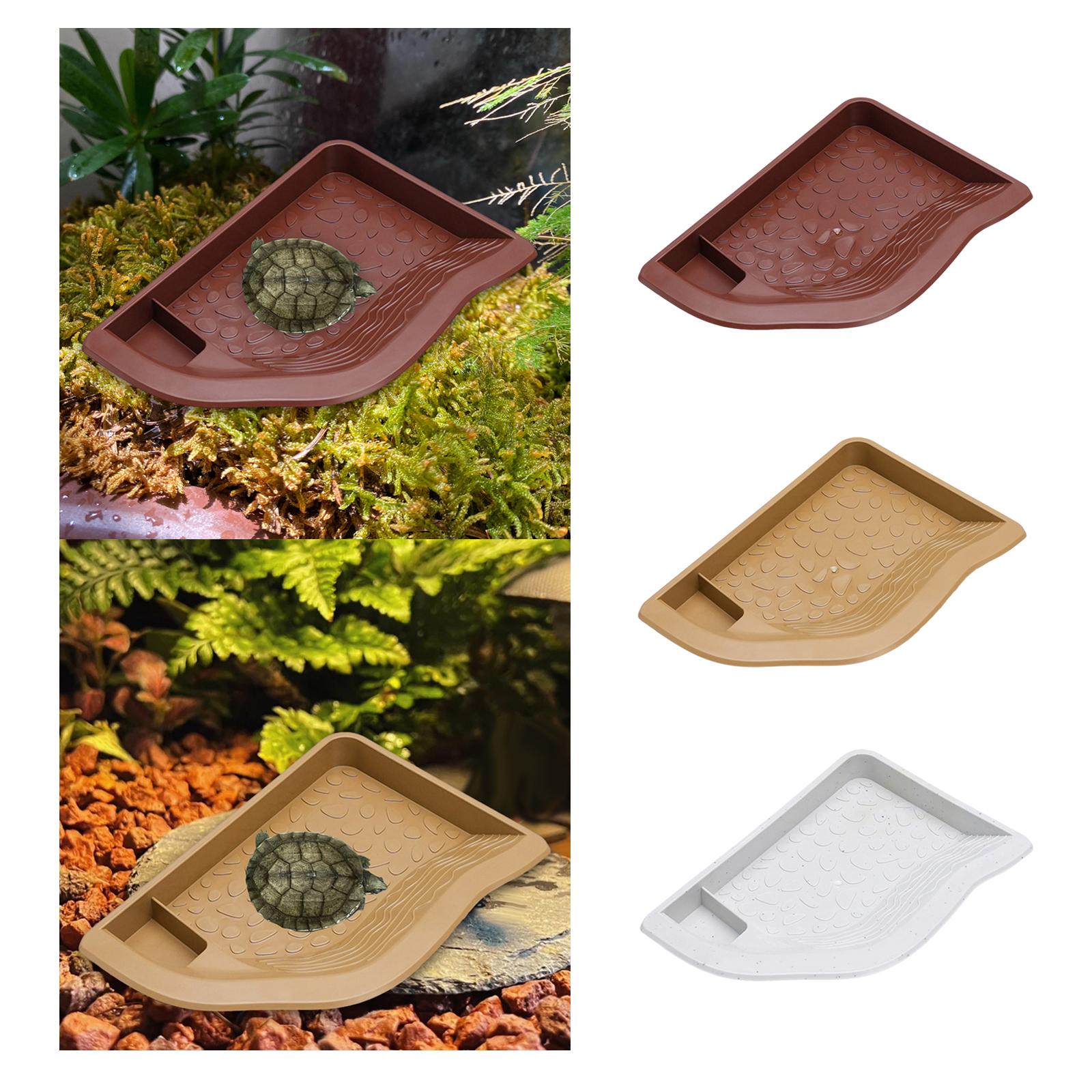 Reptile Pool Water Dish, Torto - Aquarium Fish In Bowl avaliação e preço