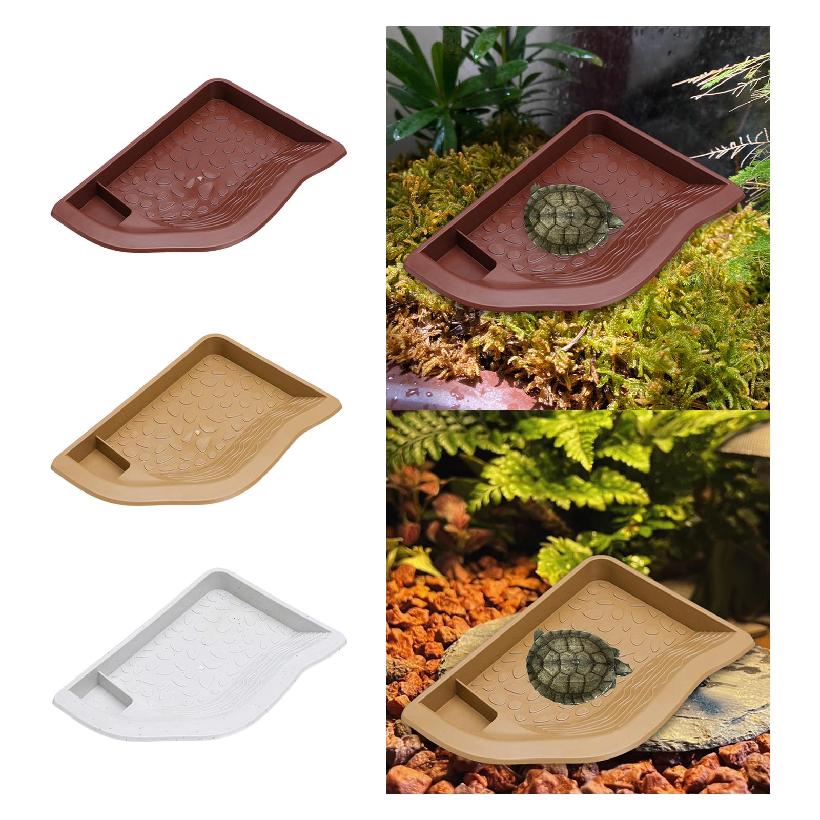 Reptile Pool Water Dish, Torto - Aquarium Fish In Bowl avaliação e preço