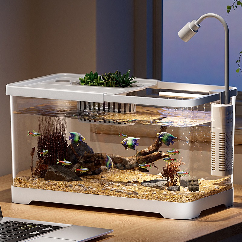 Fish tank household aquarium l - Aquarium Fish In Bowl avaliação e preço