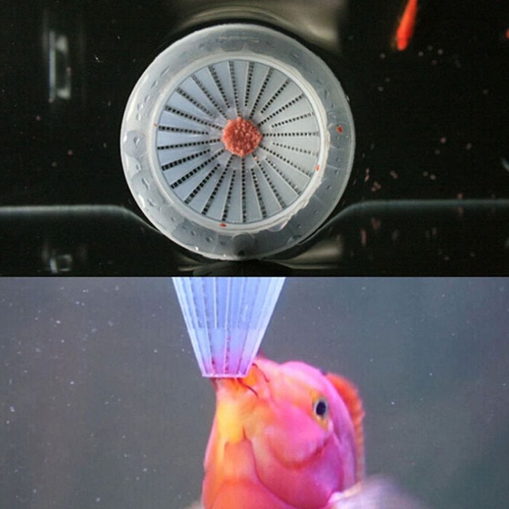 1Pc Feeding Cup Aquarium Baske - Aquarium Fish Angel avaliação e preço