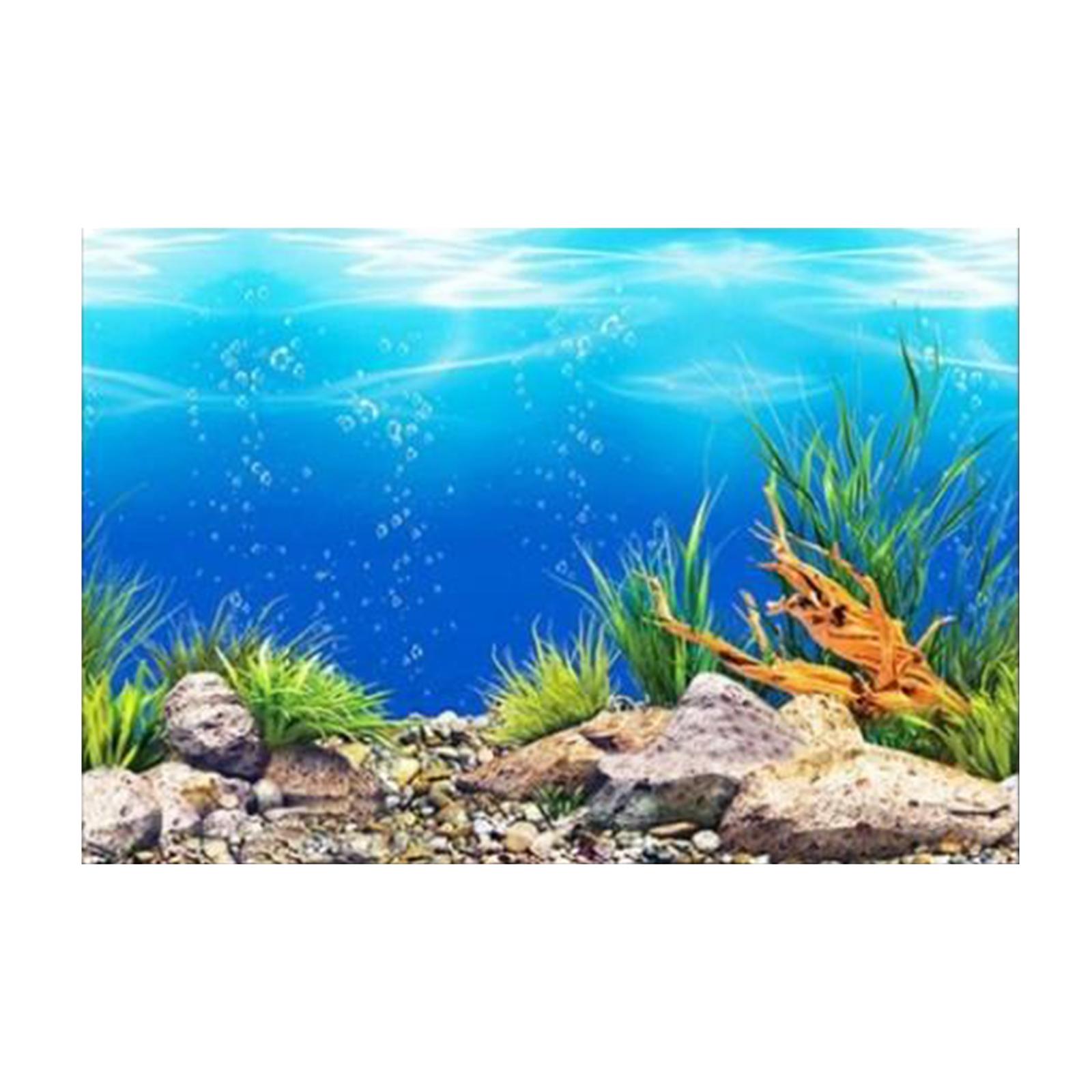 3D Effect Aquarium Background  - Aquarium Fish Poster avaliação e preço