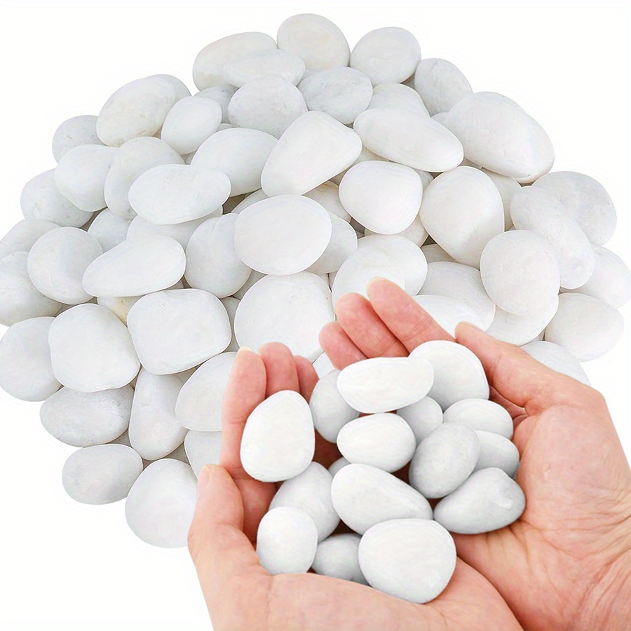 200/400g White High Polished N - Aquarium Fish Gallery avaliação e preço