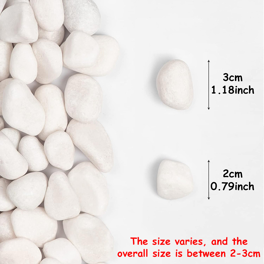 200/400g White High Polished N - Aquarium Fish Gallery avaliação e preço