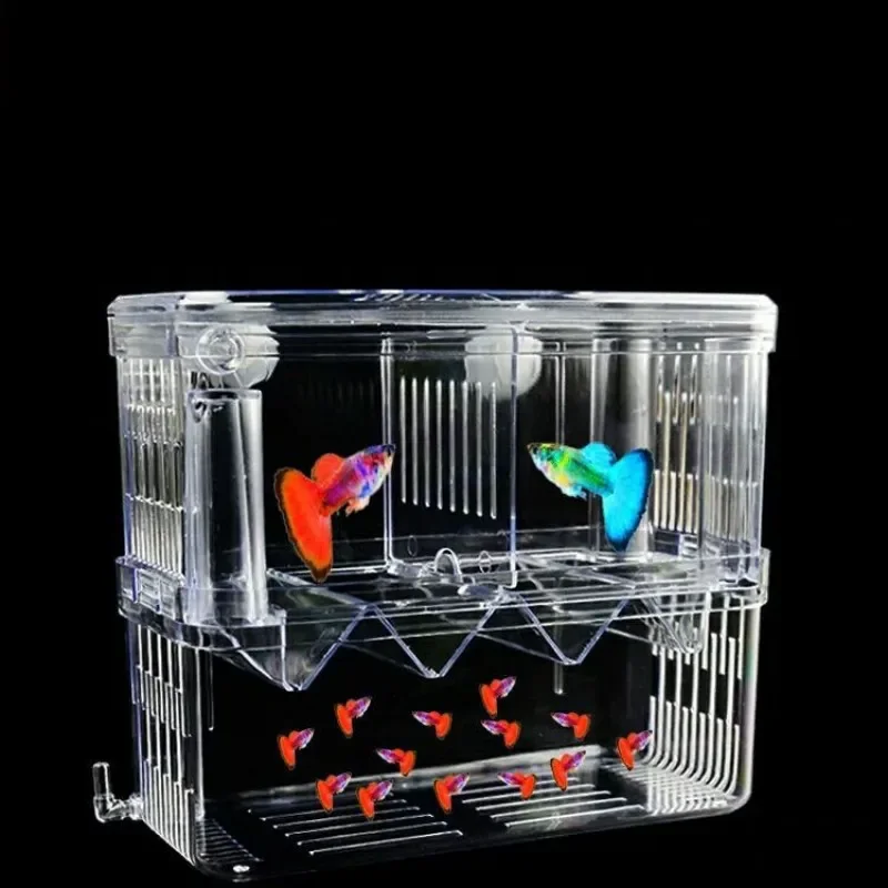 Fish Breeding Isolation Box S/ - Xl Aquarium Fish avaliação e preço