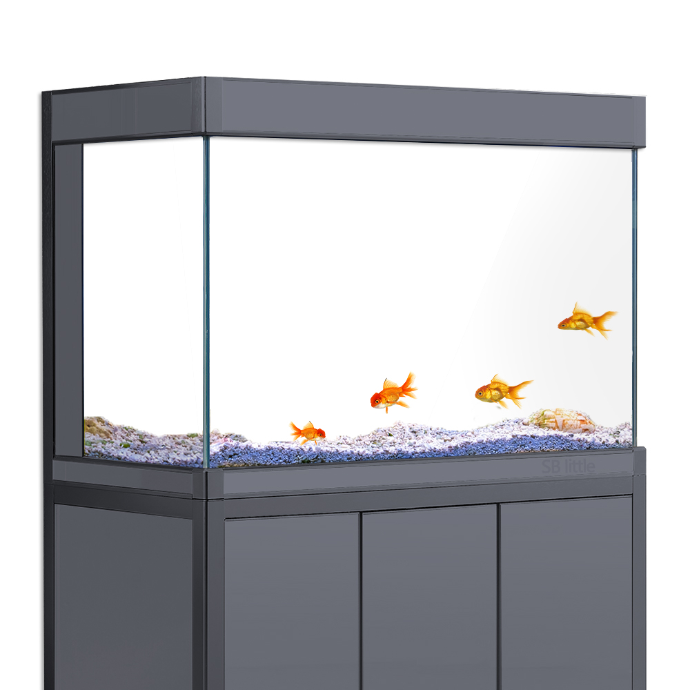 Aquarium Background Static Cli - Aquarium Fish Poster avaliação e preço