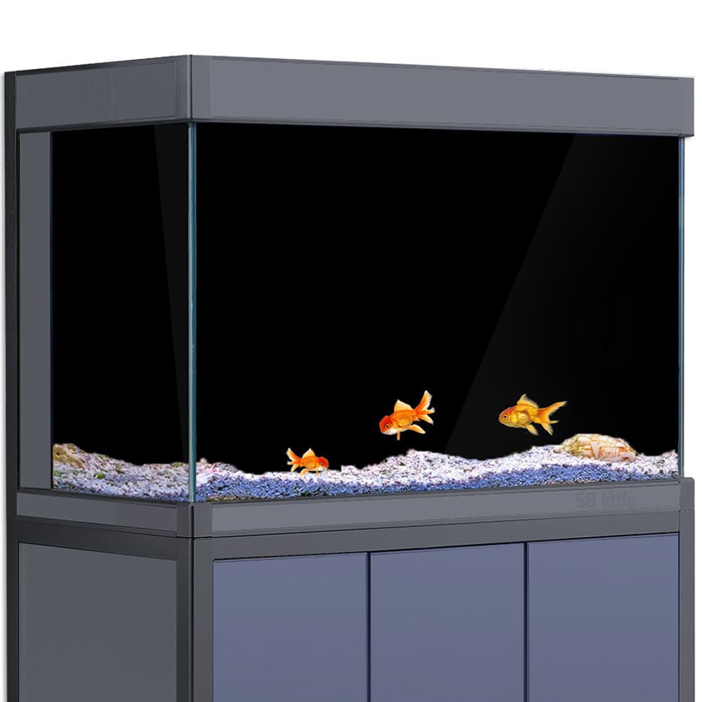 Aquarium Background Static Cli - Aquarium Fish Poster avaliação e preço