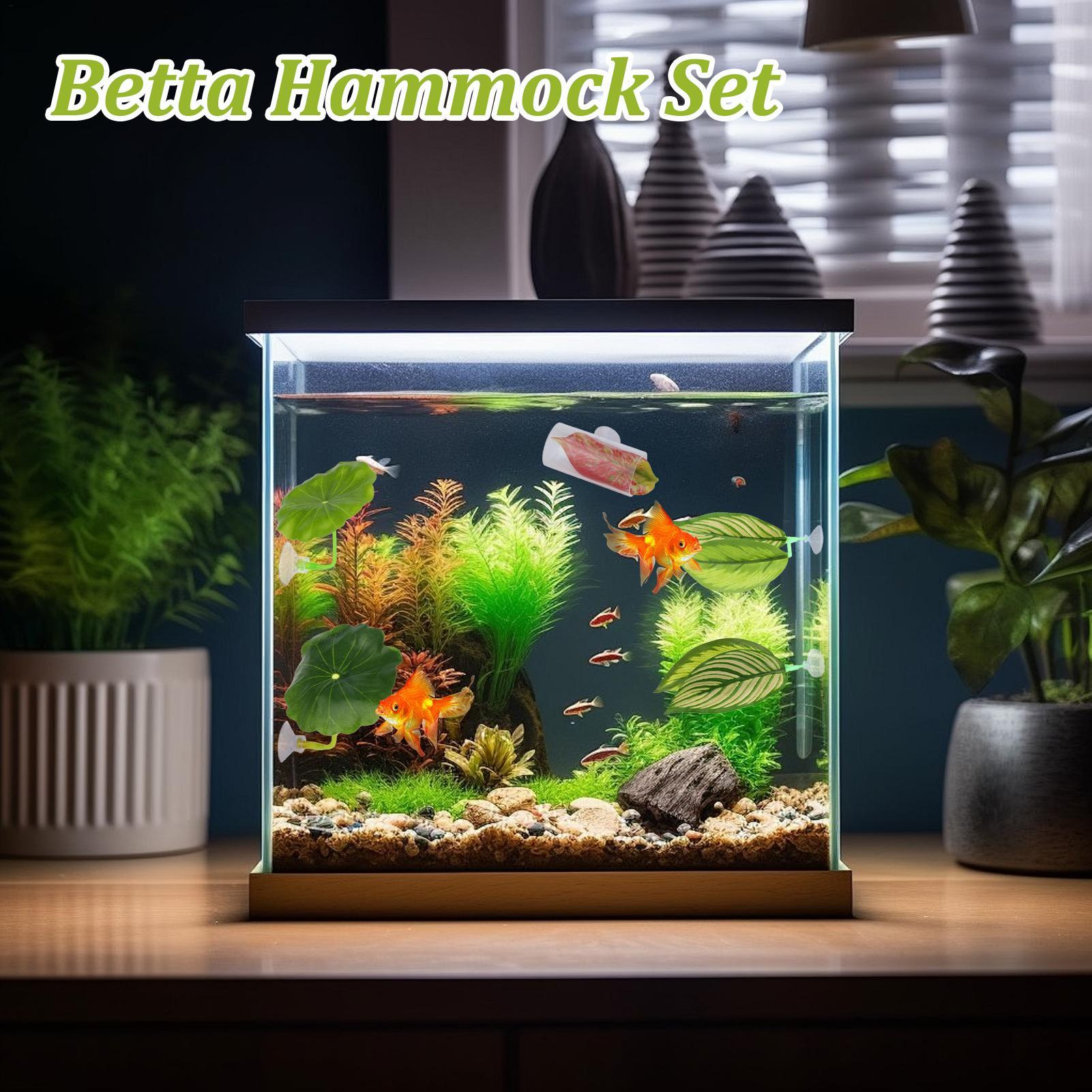 Betta Fish Hammock 5 Pieces Ad - Fish Toys For Aquarium avaliação e preço