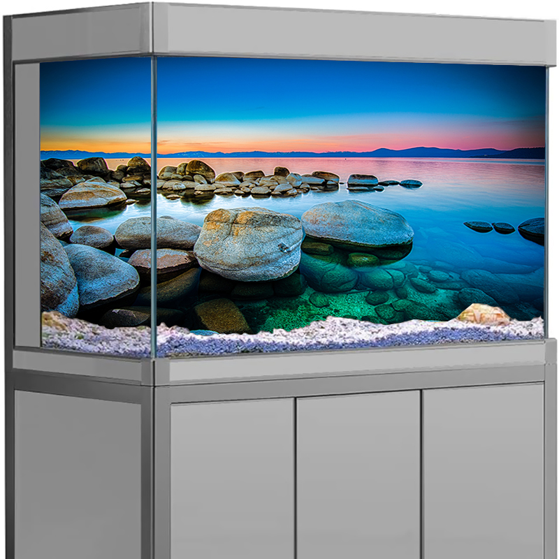 Aquarium Background Sticker St - Aquarium Fish Poster avaliação e preço