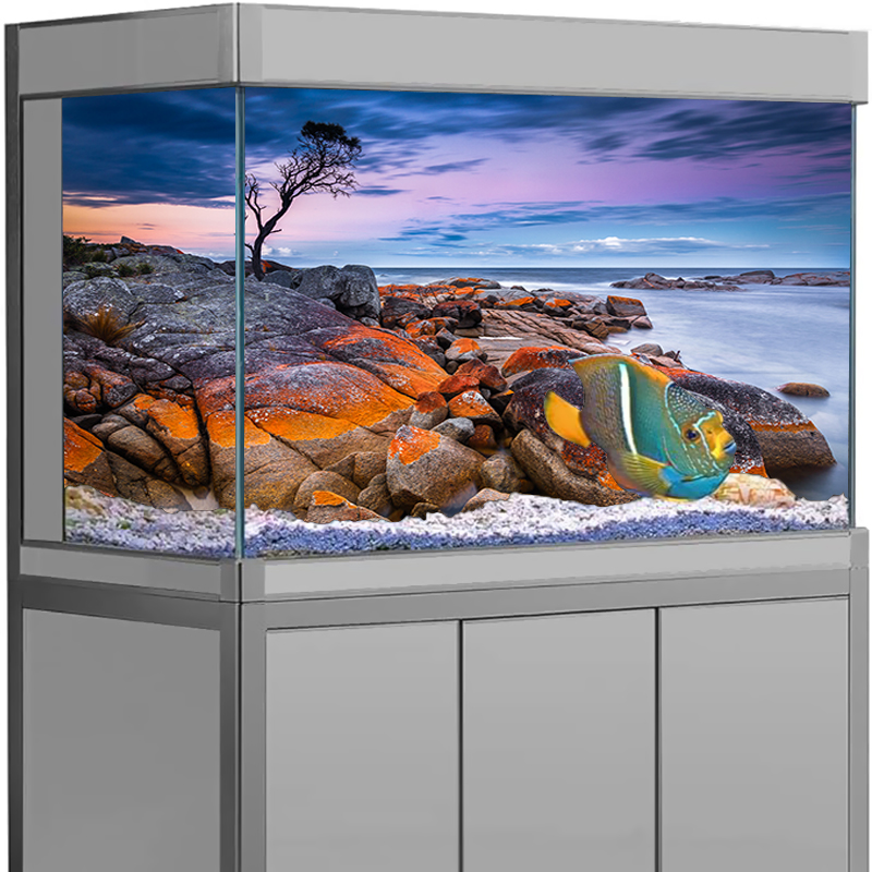 Aquarium Background Sticker St - Aquarium Fish Poster avaliação e preço