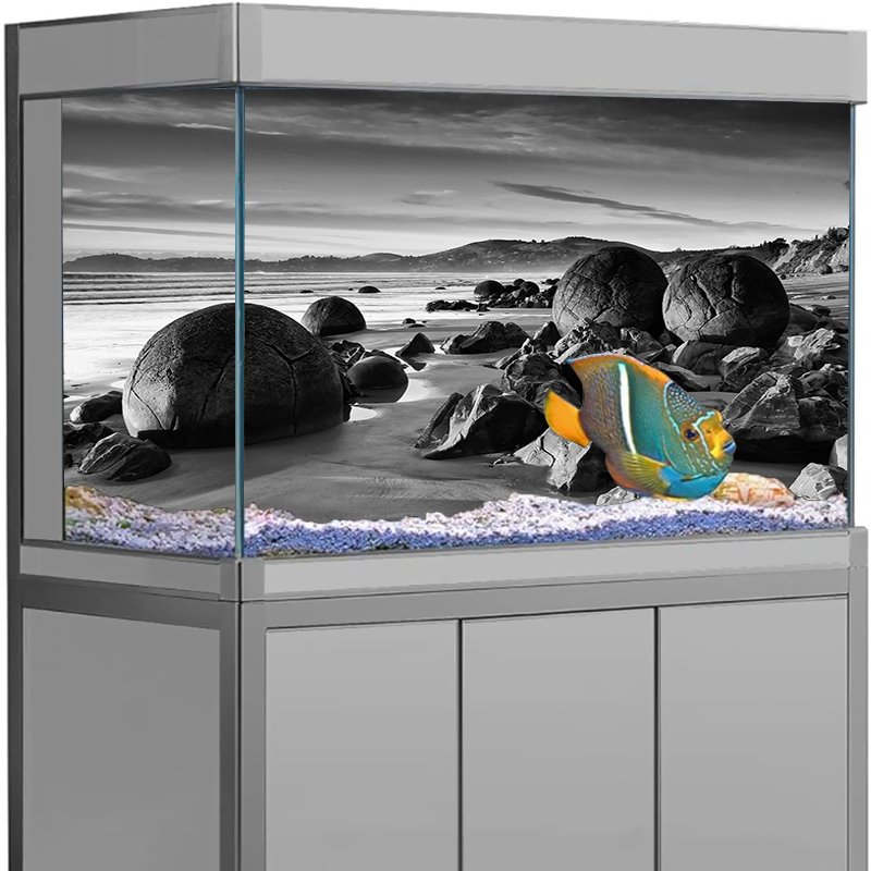Aquarium Background Sticker St - Aquarium Fish Poster avaliação e preço
