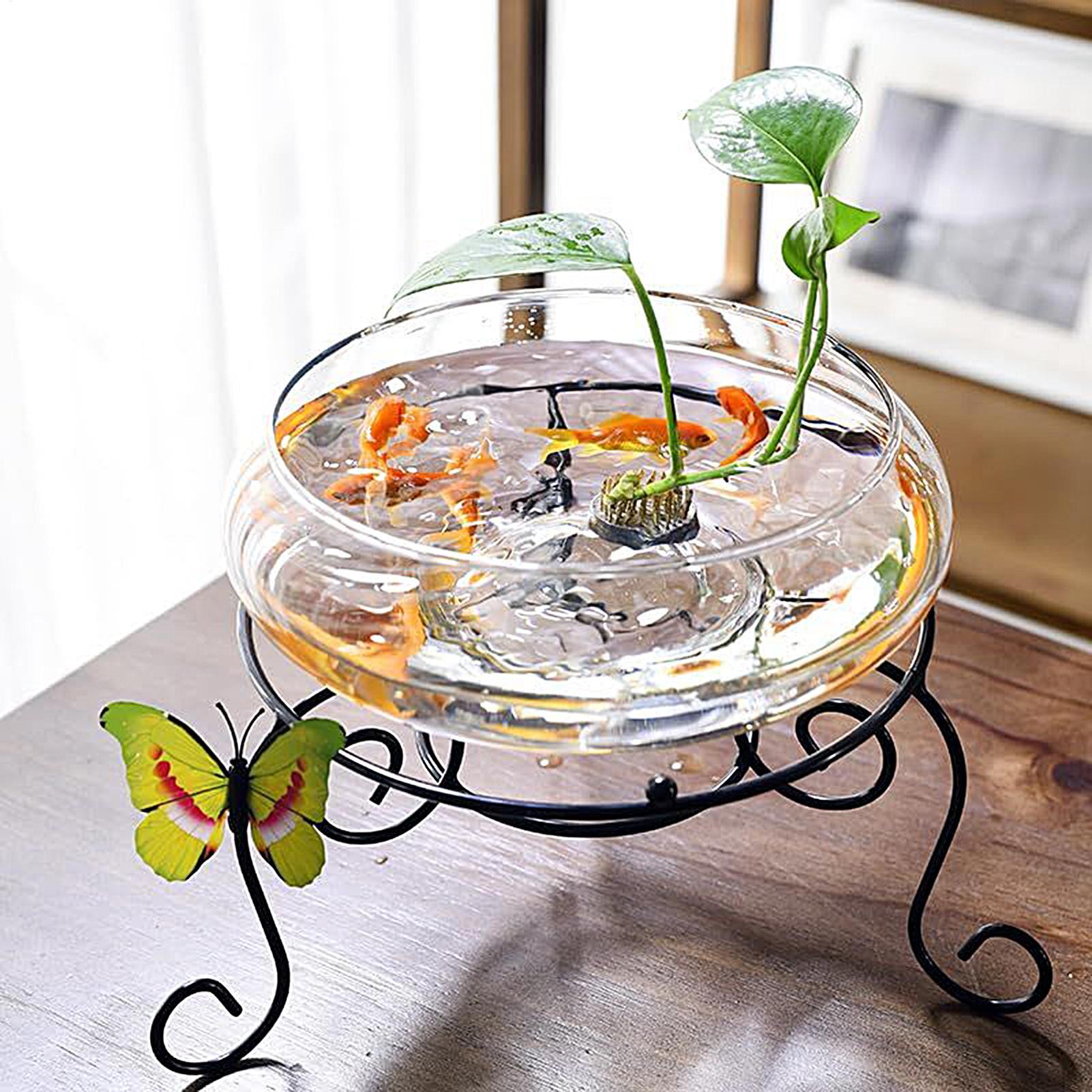 Fish Glass Bowl Glass Large Hy - Aquarium Fish Small avaliação e preço