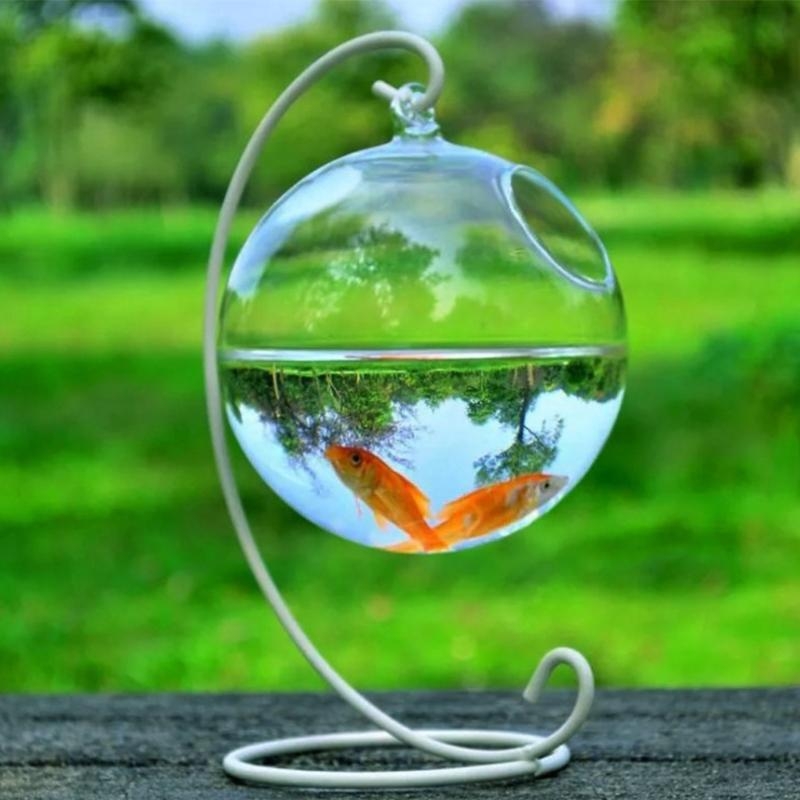 Transparent Spherical Glass Ha - Aquarium Fish In Bowl avaliação e preço