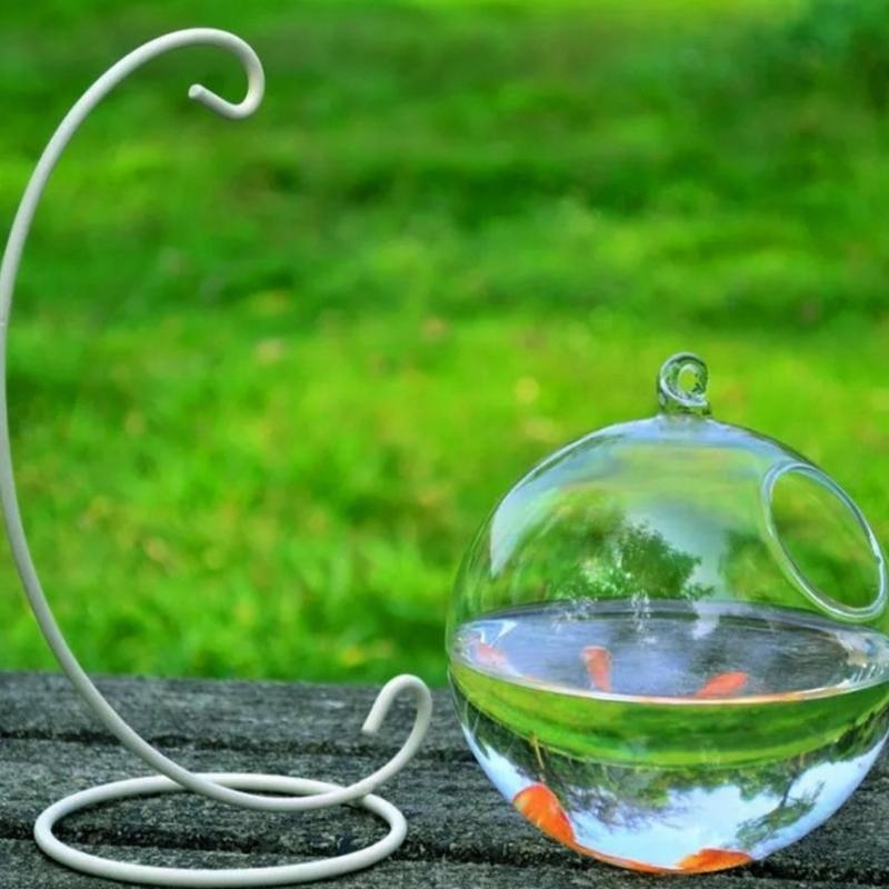 Transparent Spherical Glass Ha - Aquarium Fish In Bowl avaliação e preço
