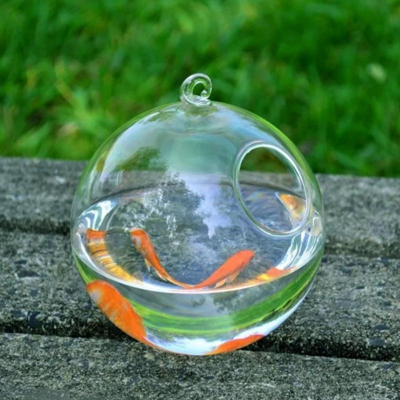 Transparent Spherical Glass Ha - Aquarium Fish In Bowl avaliação e preço