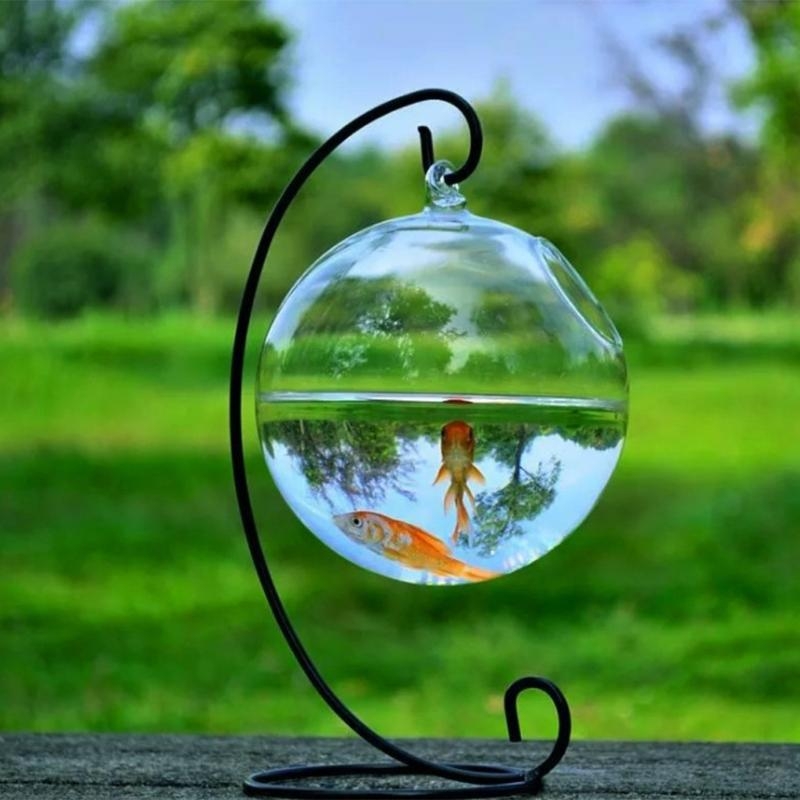 Transparent Spherical Glass Ha - Aquarium Fish In Bowl avaliação e preço