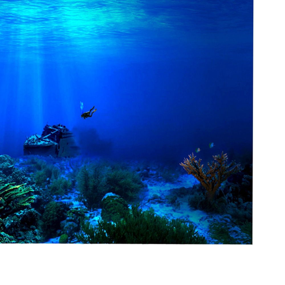 PVC Aquarium Background Poster - Aquarium Fish Poster avaliação e preço