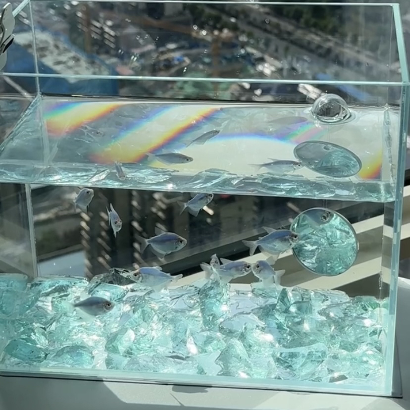 Natural Crystal Stone Angel De - Aquarium Fish Angel avaliação e preço