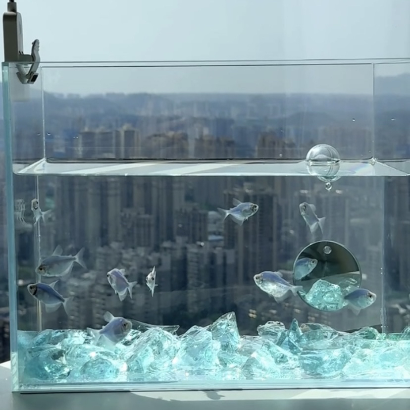 Natural Crystal Stone Angel De - Aquarium Fish Angel avaliação e preço