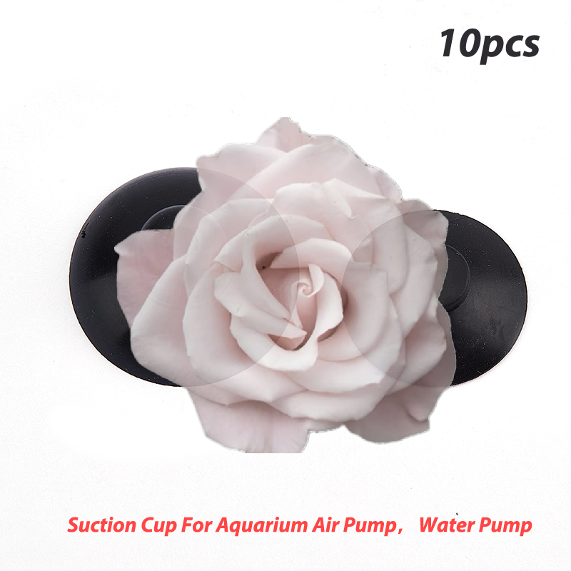 Popular 10Pcs Aquarium Fish Ta - Aquarium Fish Popular avaliação e preço