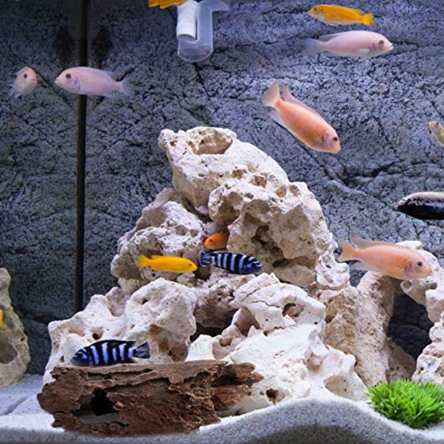 Lizard, Snake or Reptile Hide. - Xl Aquarium Fish avaliação e preço