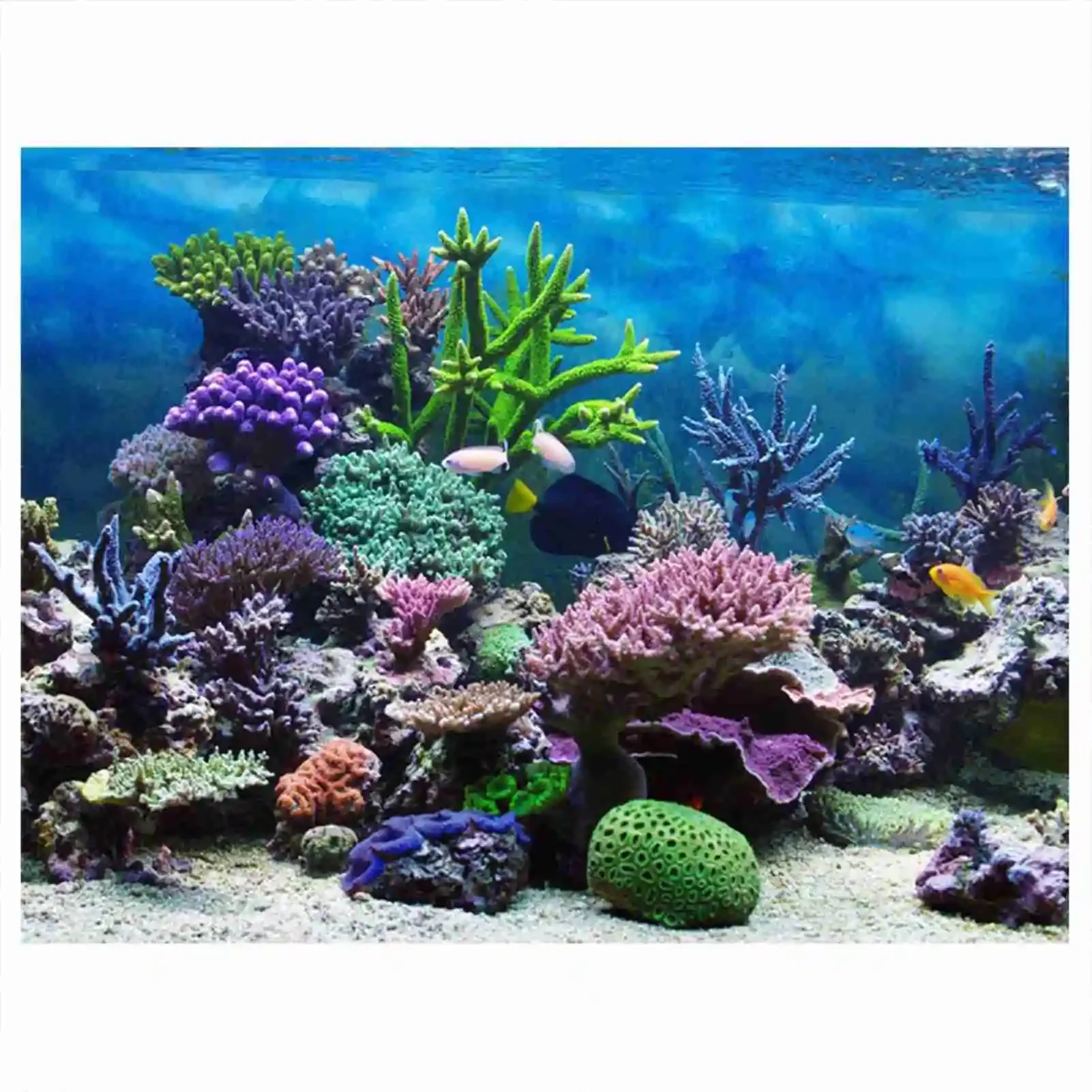 3D Aquarium Landscape Poster R - Aquarium Fish Poster avaliação e preço