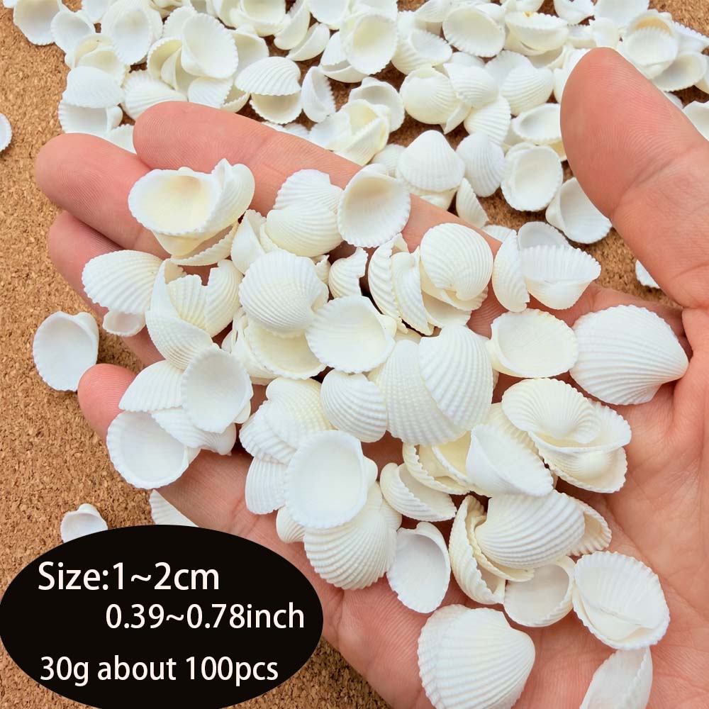200pcs about 60g Tiny Sea Shel - Aquarium Fish Gallery avaliação e preço