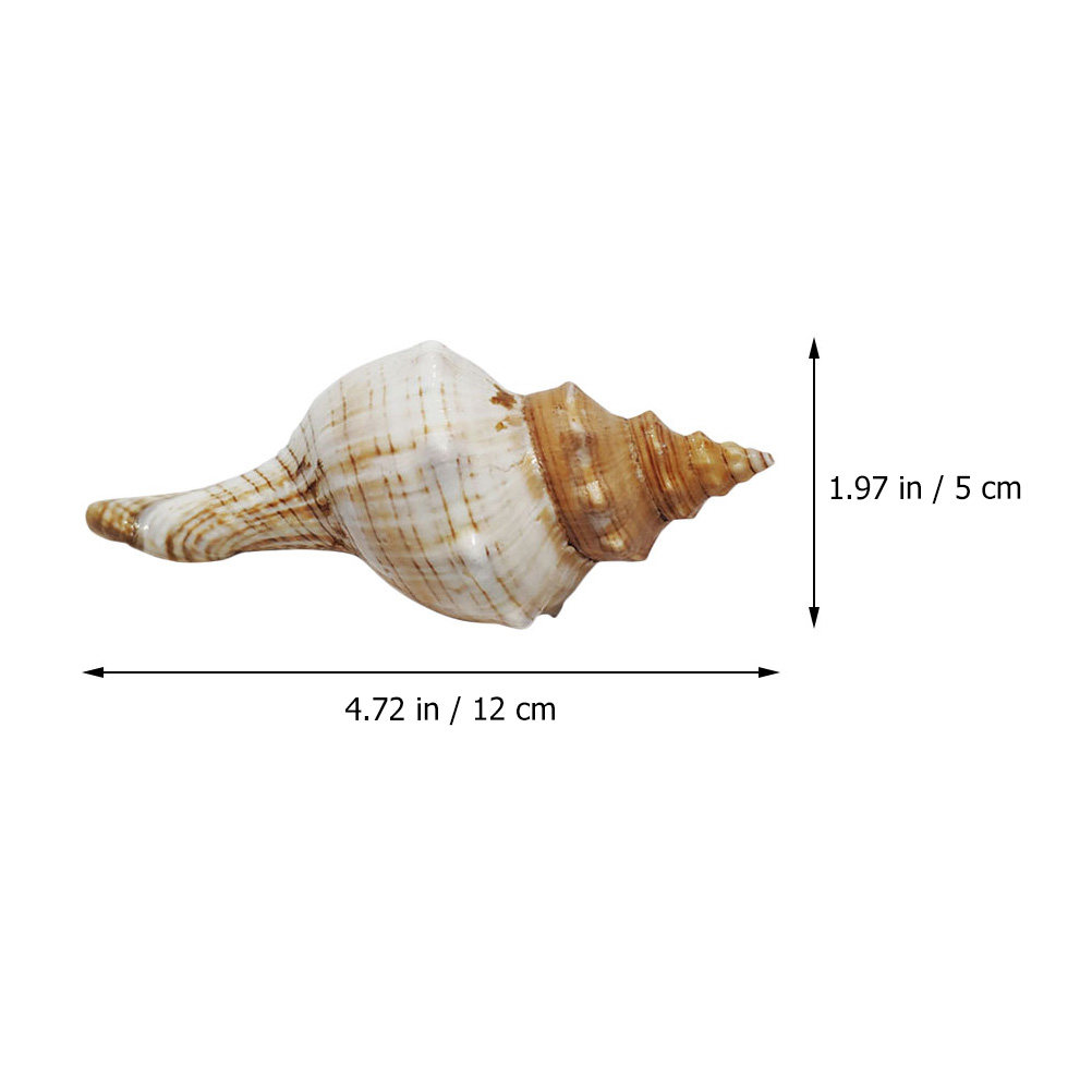 Decorative Conch Shell for Aqu - Aquarium Fish Gallery avaliação e preço