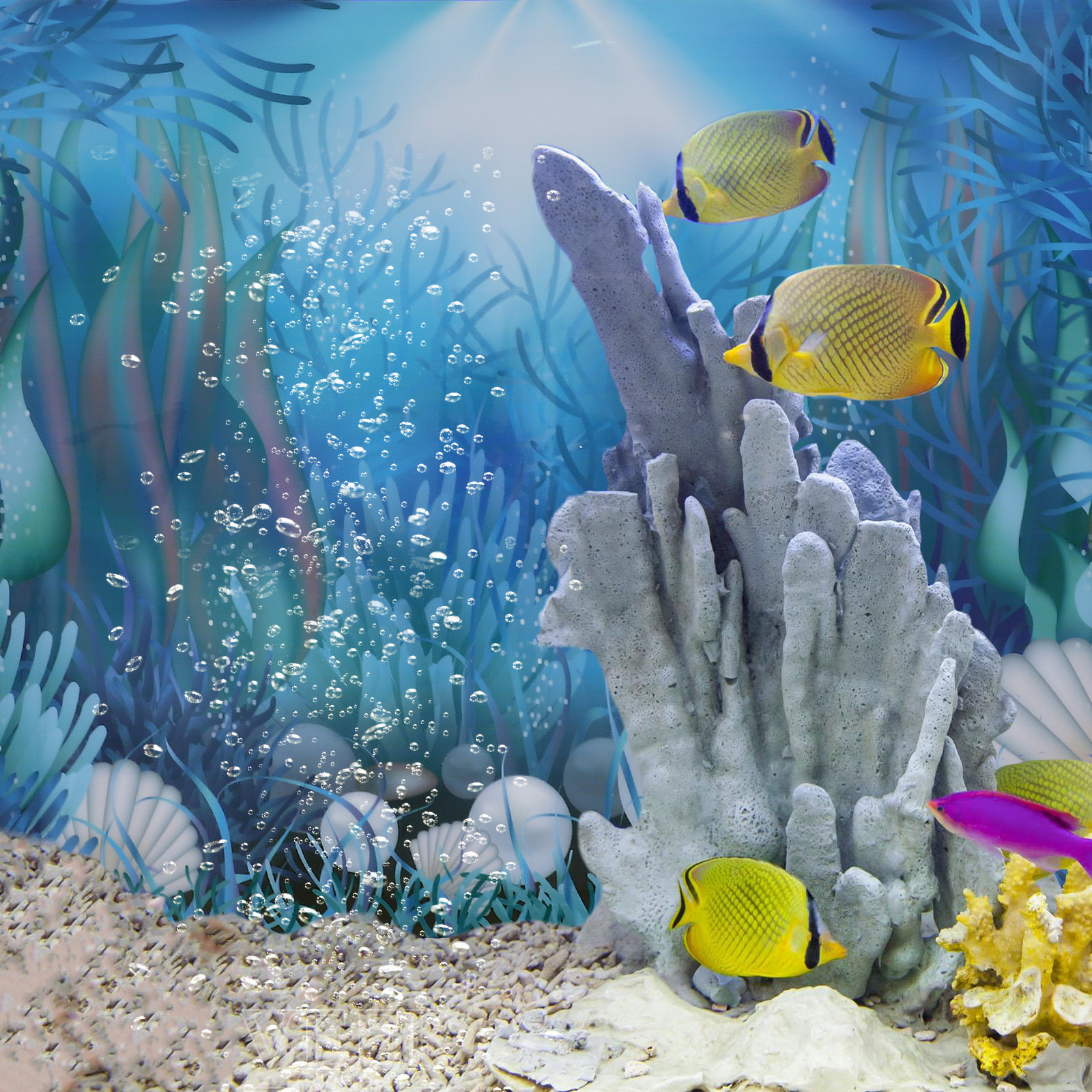 Aquarium Decor Decoration Sign - Aquarium Fish Poster avaliação e preço