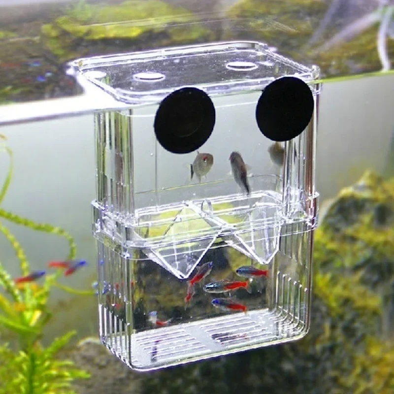 Multifunctional Fish Aquarium  - Aquarium Fish In Bowl avaliação e preço